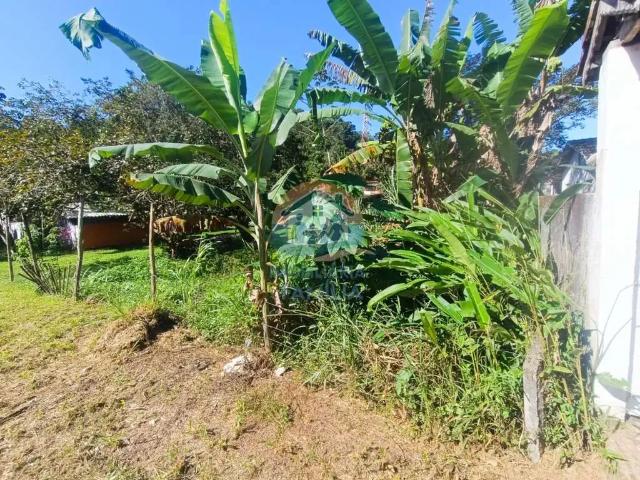 Terreno / Lote para Venda em Caraguatatuba/SP Massaguaçu