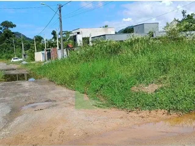 Terreno / Lote para Venda em Caraguatatuba/SP Massaguaçu