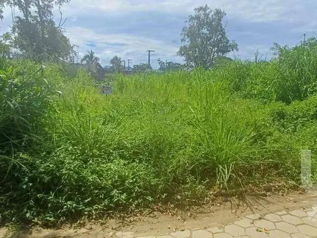 Terreno / Lote para Venda em Caraguatatuba/SP Massaguaçu