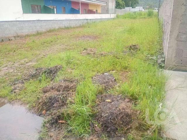 Terreno / Lote para Venda em Caraguatatuba/SP Massaguaçu