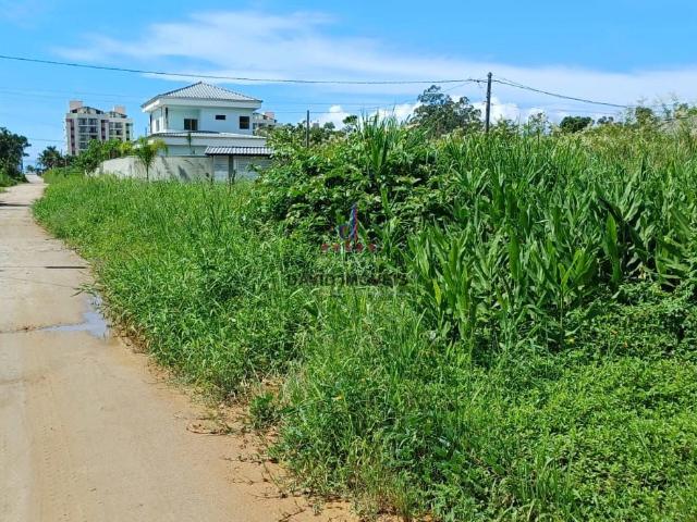 Terreno / Lote para Venda em Caraguatatuba/SP Massaguaçu