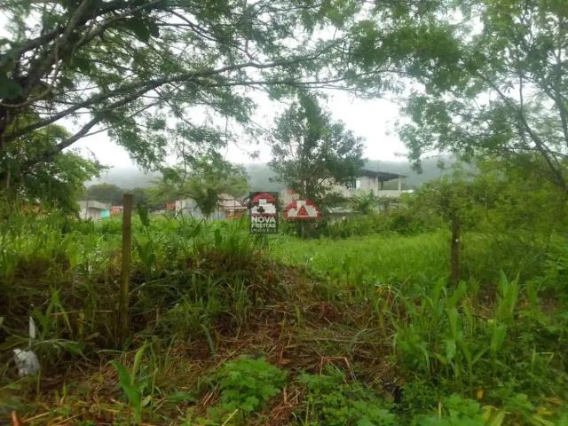 Terreno / Lote para Venda em Caraguatatuba/SP Massaguaçu