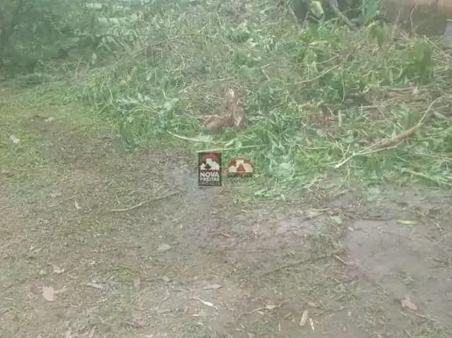 Terreno / Lote para Venda em Caraguatatuba/SP Massaguaçu