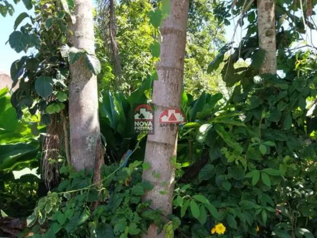 Terreno / Lote para Venda em Caraguatatuba/SP Massaguaçu