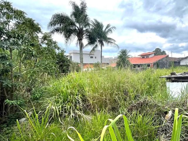 Terreno / Lote para Venda em Caraguatatuba/SP Pontal de Santa Marina
