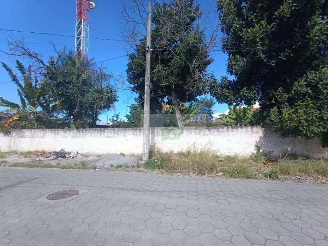 Terreno / Lote para Venda em Caraguatatuba/SP Praia das Palmeiras