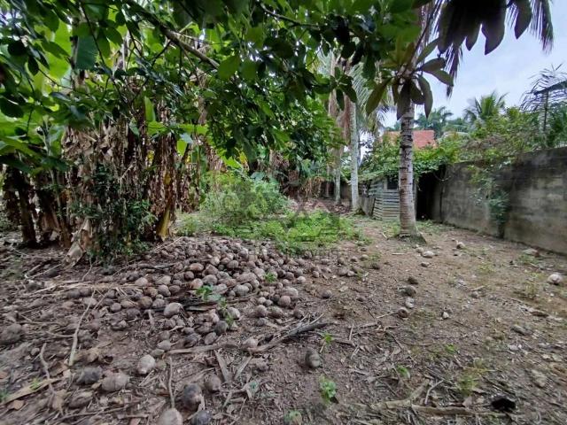 Terreno / Lote para Venda em Caraguatatuba/SP Praia das Palmeiras
