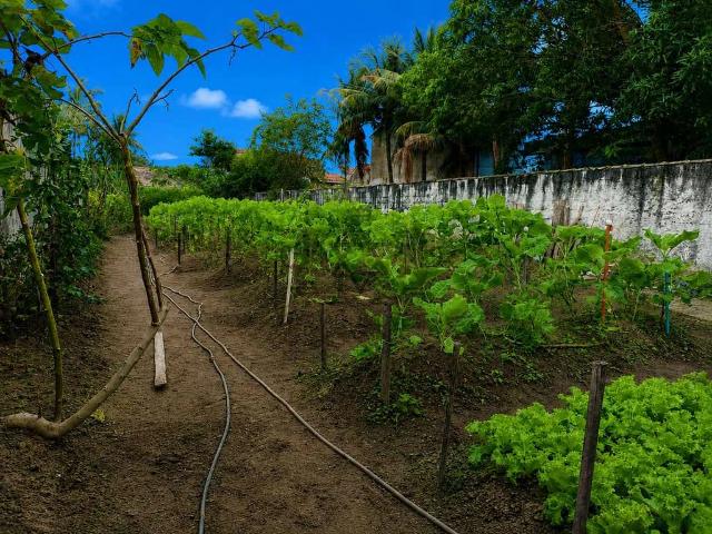 Terreno / Lote para Venda em Caraguatatuba/SP Praia das Palmeiras