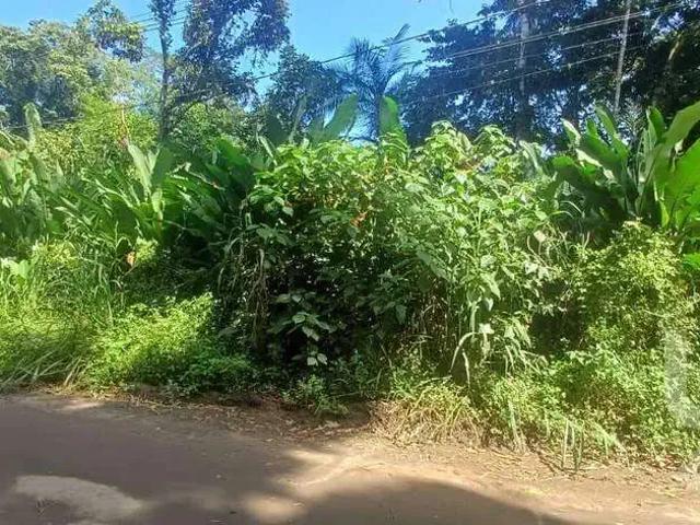 Terreno / Lote para Venda em Caraguatatuba/SP Tabatinga