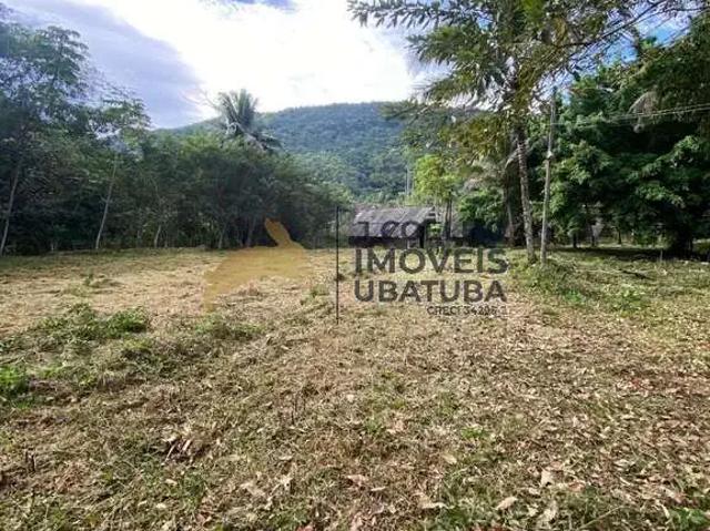 Terreno / Lote para Venda em Caraguatatuba/SP Tabatinga