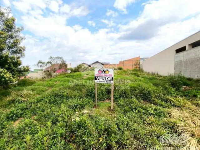 Terreno / Lote para Venda em Carambeí/PR Campinho Pequeno