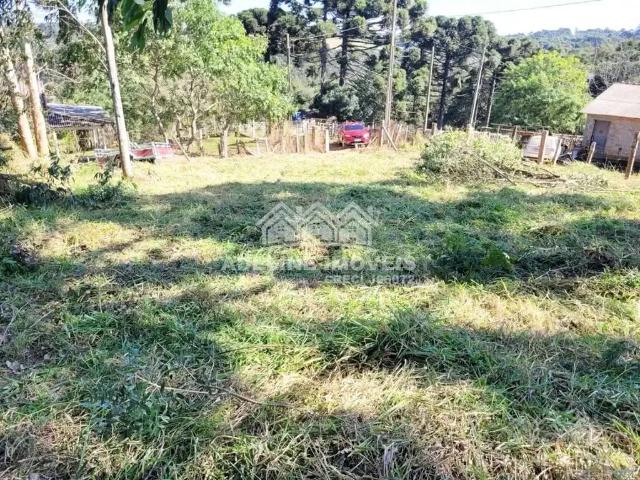 Terreno / Lote para Venda em Carambeí/PR Catanduva
