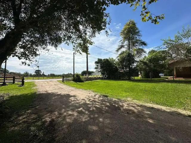 Terreno / Lote para Venda em Carambeí/PR Centro