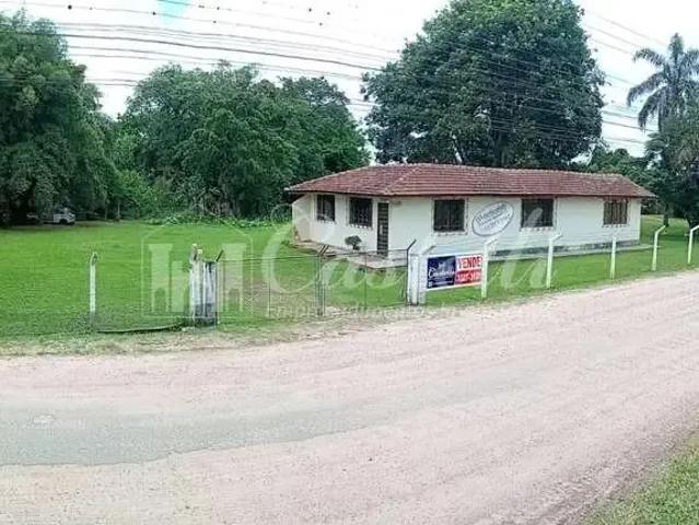 Terreno / Lote para Venda em Carambeí/PR Centro