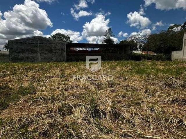 Terreno / Lote para Venda em Carambeí/PR Centro