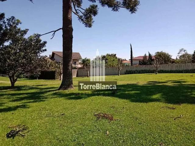 Terreno / Lote para Venda em Carambeí/PR Centro