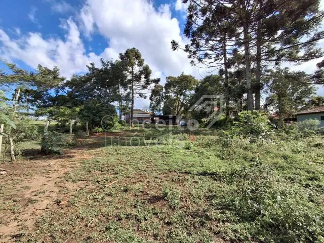 Terreno / Lote para Venda em Carambeí/PR Centro 2 Quartos