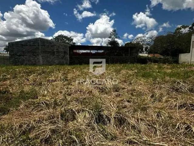 Terreno / Lote para Venda em Carambeí/PR Centro