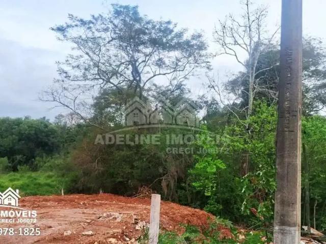 Terreno / Lote para Venda em Carambeí/PR Colonia