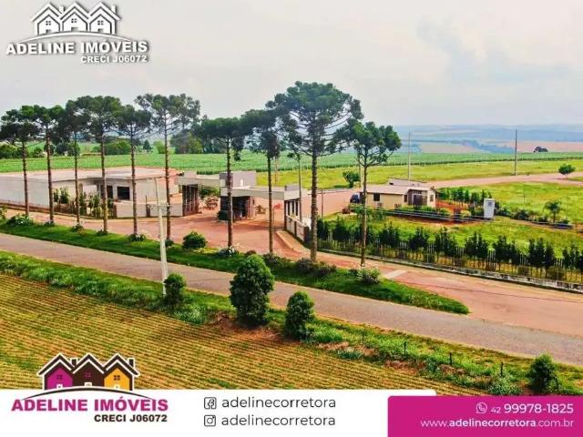 Terreno / Lote para Venda em Carambeí/PR Colonia