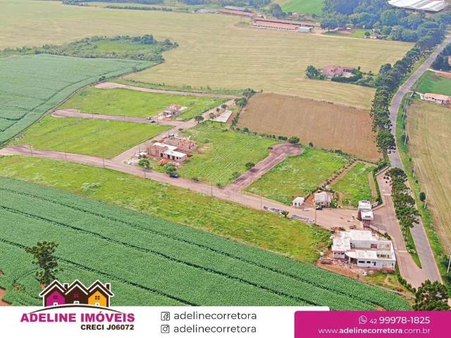 Terreno / Lote para Venda em Carambeí/PR Colonia