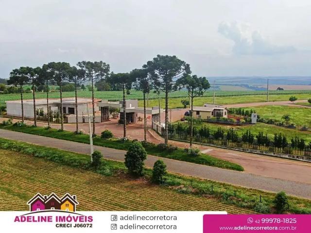 Terreno / Lote para Venda em Carambeí/PR Colonia