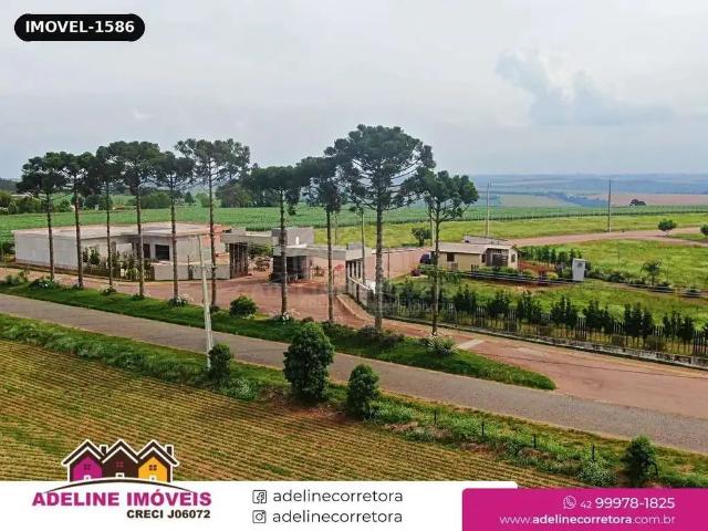 Terreno / Lote para Venda em Carambeí/PR Colonia