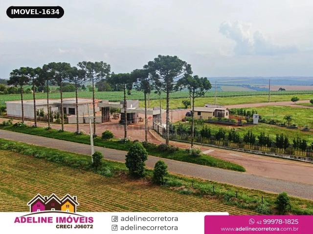 Terreno / Lote para Venda em Carambeí/PR Colonia