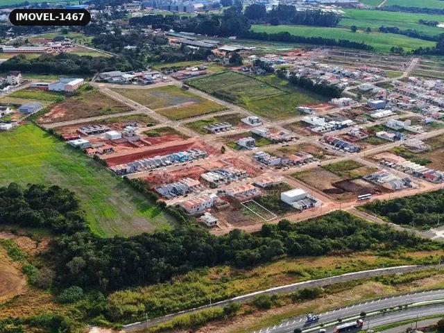 Terreno / Lote para Venda em Carambeí/PR Imigrantes