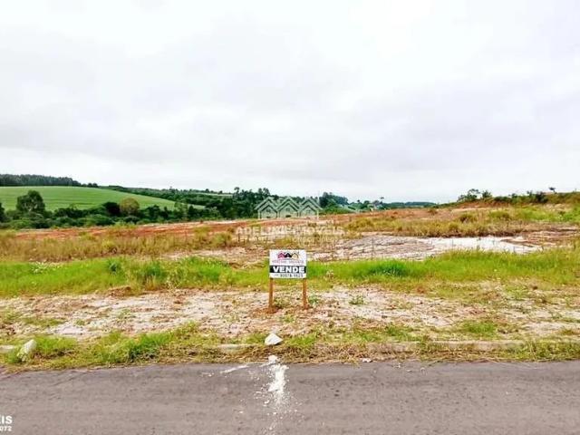 Terreno / Lote para Venda em Carambeí/PR Imigrantes