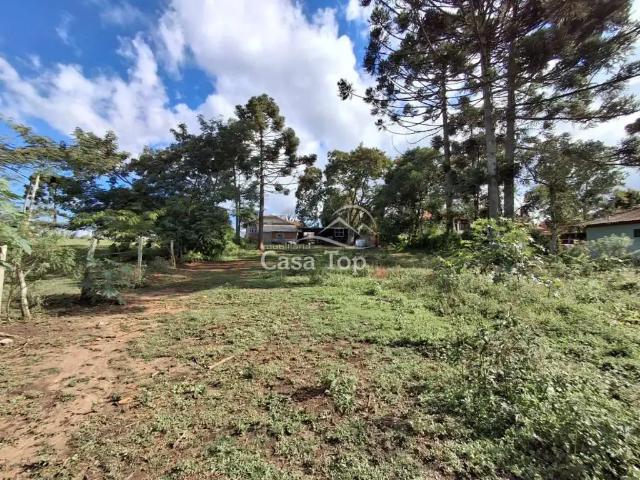 Terreno / Lote para Venda em Carambeí/PR Jardim Brasília