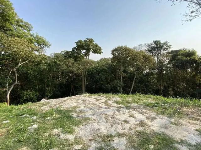 Terreno / Lote para Venda em Carapicuíba/SP Chácara Moinho Velho