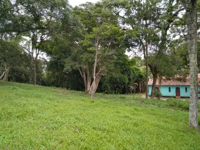 Terreno / Lote para Venda em Carapicuíba/SP Chácara Santa Lúcia