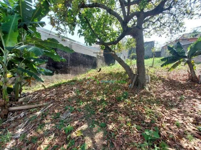 Terreno / Lote para Venda em Carapicuíba/SP Vila Creti