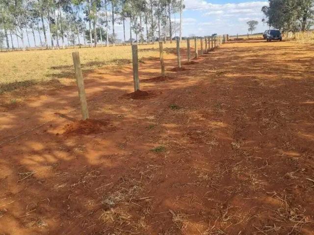 Terreno / Lote para Venda em Cardoso/SP Zona Rural