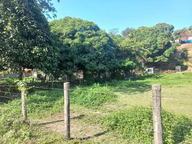 Terreno / Lote para Venda em Cariacica/ES Novo Horizonte