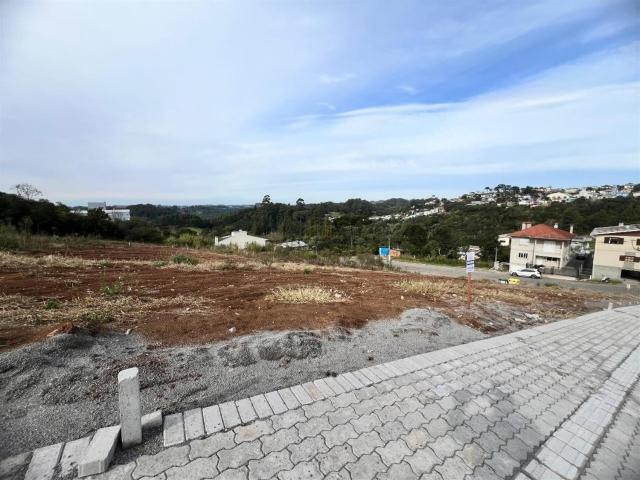 Terreno / Lote para Venda em Carlos Barbosa/RS Aurora