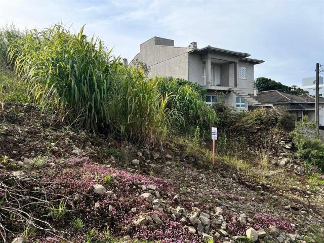 Terreno / Lote para Venda em Carlos Barbosa/RS Aurora