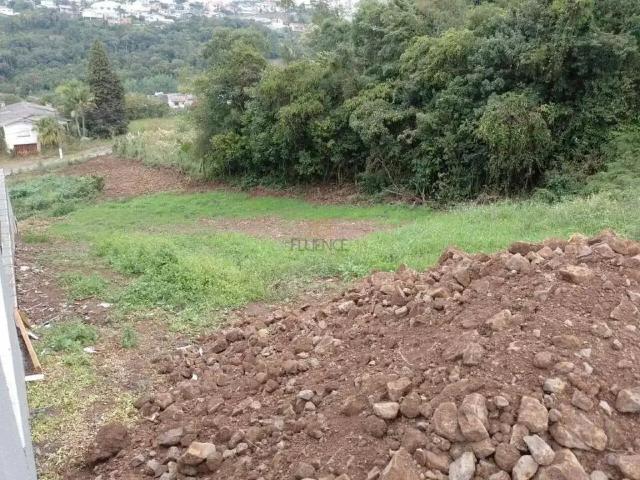Terreno / Lote para Venda em Carlos Barbosa/RS Aurora