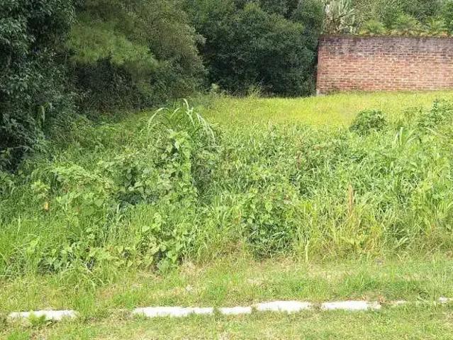 Terreno / Lote para Venda em Carlos Barbosa/RS Aurora