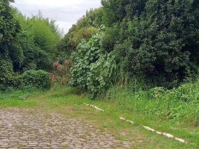 Terreno / Lote para Venda em Carlos Barbosa/RS Aurora