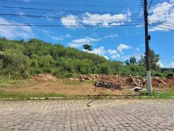 Terreno / Lote para Venda em Carlos Barbosa/RS Aparecida