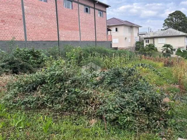 Terreno / Lote para Venda em Carlos Barbosa/RS Aparecida