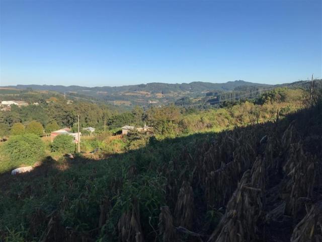 Terreno / Lote para Venda em Carlos Barbosa/RS Arcoverde