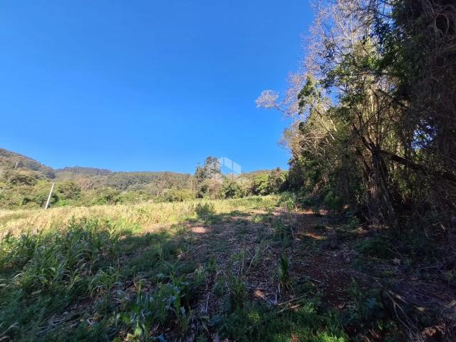 Terreno / Lote para Venda em Carlos Barbosa/RS Arcoverde