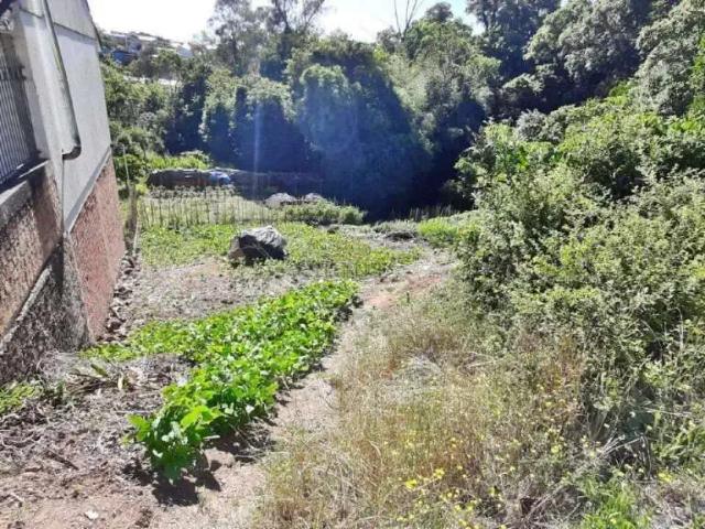 Terreno / Lote para Venda em Carlos Barbosa/RS Bela Vista