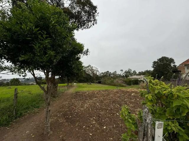 Terreno / Lote para Venda em Carlos Barbosa/RS Planalto
