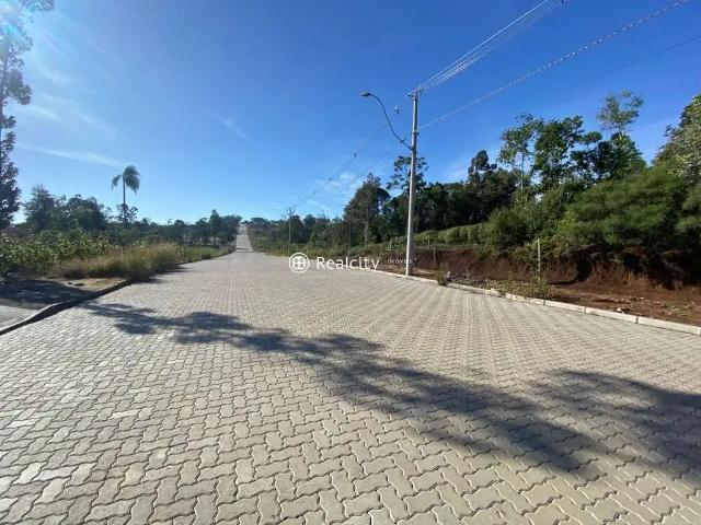 Terreno / Lote para Venda em Carlos Barbosa/RS Planalto