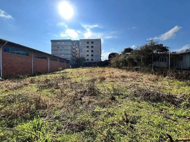 Terreno / Lote para Venda em Carlos Barbosa/RS Planalto