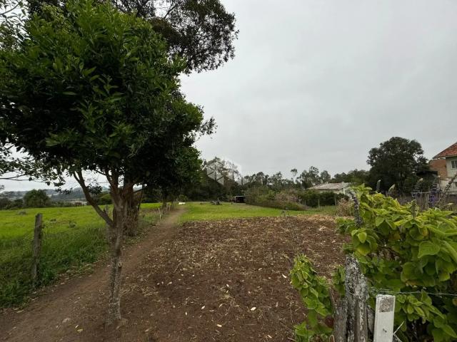 Terreno / Lote para Venda em Carlos Barbosa/RS Planalto